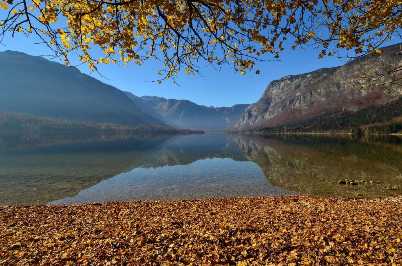 Apartma Pr Gatej Bohinj Εξωτερικό φωτογραφία